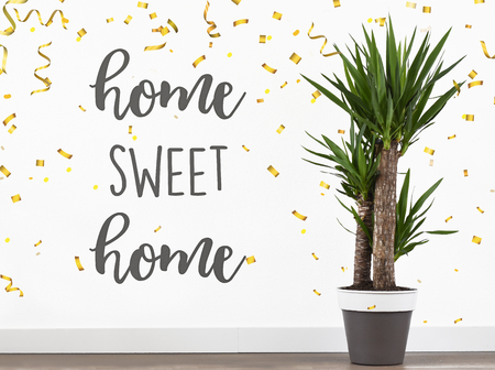 Plant, home, sweet, home, text, happy, new, homeの写真素材