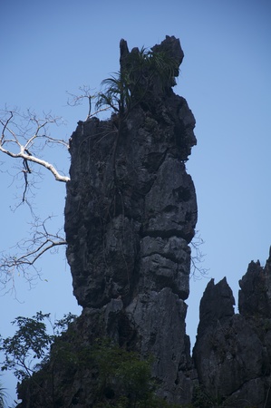Stone, tree, Thailand, Siam, person, people, manの写真素材