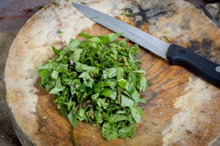 slices kitchen mint and knife on chopping blockの写真素材