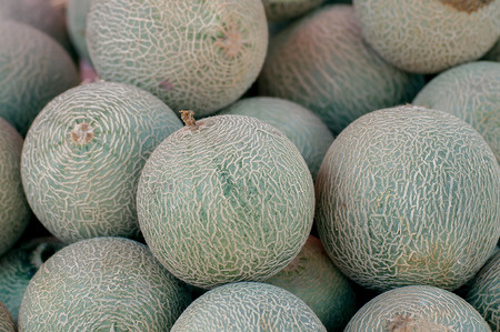 Stack of cantaloupe melonsの写真素材