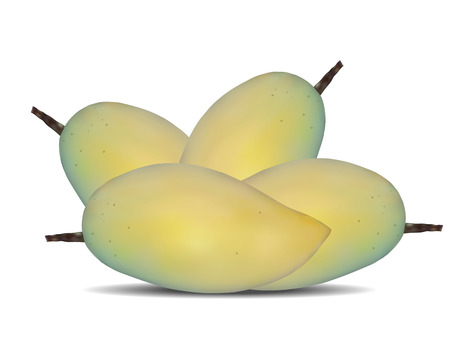 Mango Isolate On White background Illustrationのイラスト素材