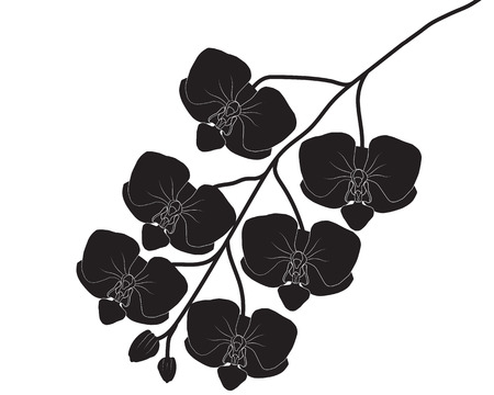Silhouette Orchid Flower Vector Illustrationのイラスト素材