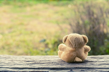 teddy bear vintage light