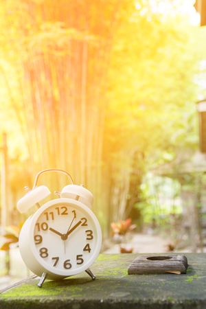 white alarm clock in garden background with sunlightの写真素材