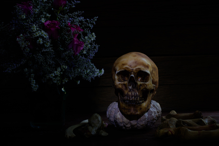 skullの写真素材