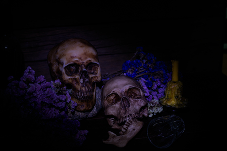 skullの写真素材