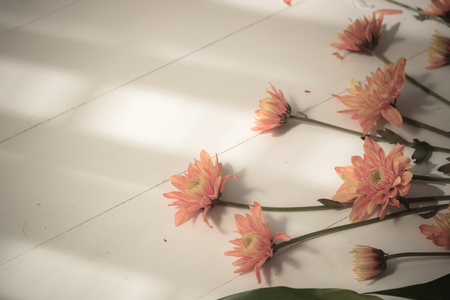 flowers on white wood  with light and shadowの写真素材