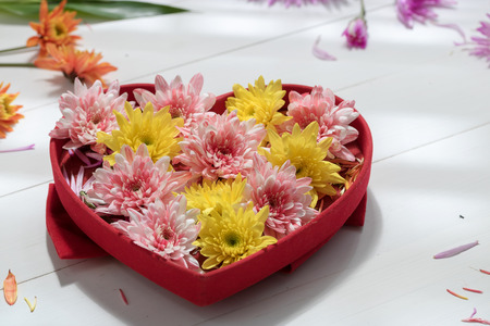 Colourful Flowers in the potの写真素材