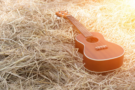 Ukulele placed on a pile of straw.の写真素材