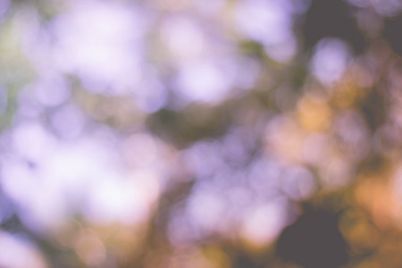 abstract background bokeh circles for background useの写真素材