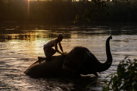 KANCHANABURI,THAILAND - SEPTEMBER 3,2017:The elephants are bathing elephants. At the River Kwai in the evening. In Kanchanaburi, Thailandのeditorial素材