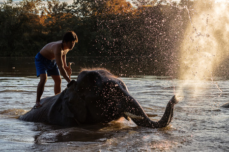 KANCHANABURI,THAILAND - SEPTEMBER 3,2017:The bathing elephants.
At the River Kwai in the evening. In CHANG PUAK CAMP Kanchanaburi, Thailand