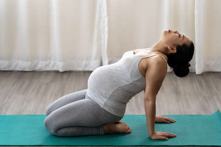 Pregnant women are doing yogaの写真素材