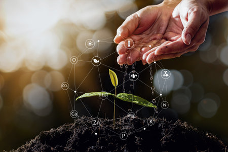farmers hand are watering seedlings on bokeh background.Seedlings are growing on the soil.Young plant growing at sunlight.Environment and ecology concept.の写真素材