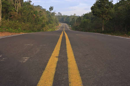 Road double yellow line in the horizontal view, Phu Hin Rong Kla on.の写真素材