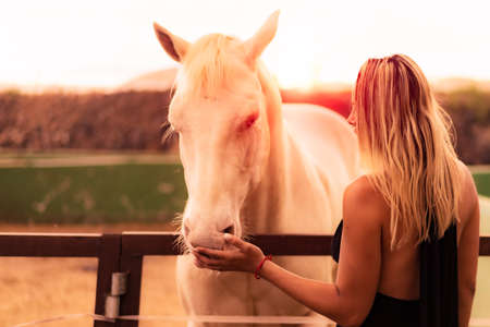 Portrait of caucasian woman and white horse. Woman admires her horse. Romantic concept. Human, nature and animals relationship concept.の写真素材