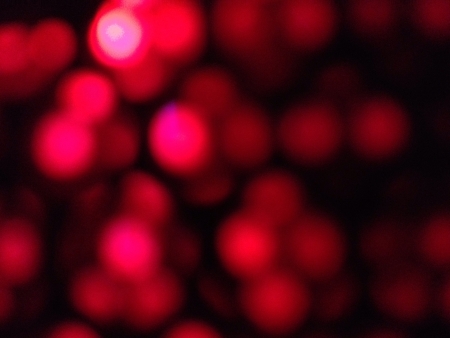 Zoom In of a red LED computer case fan on a honeycomb bezel の素材