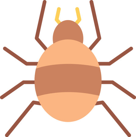 Tarantula Flat Icon Design