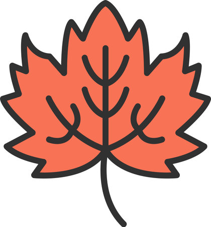 Maple Leaf Flat Icon Designのイラスト素材