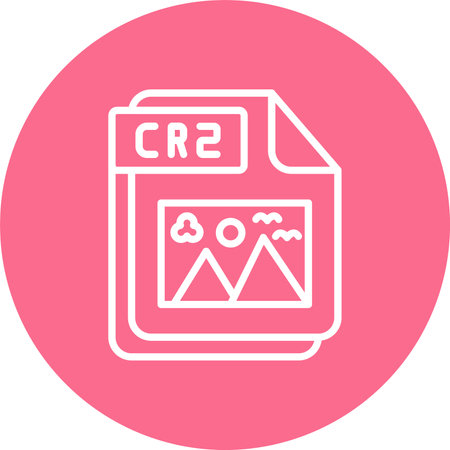 CR2 Multi Color Circle Icon
