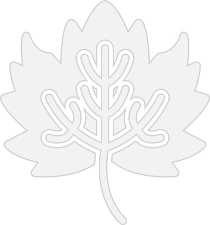 Maple Leaf Glyph Grey Icon Designのイラスト素材