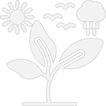 Leaves Glyph Grey Icon Designのイラスト素材