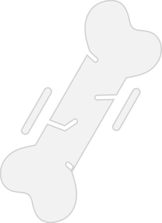 Bone Glyph Grey Icon Design