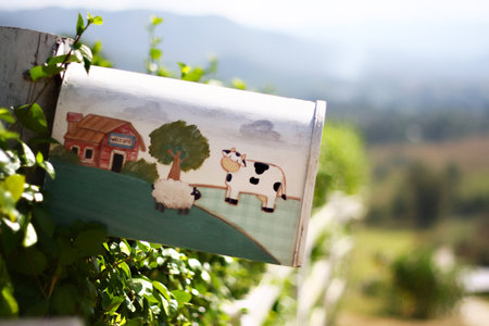 Mail boxesの写真素材