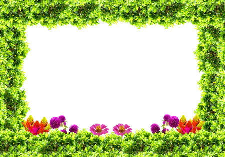 natural leaves top and bottom border
