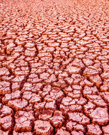 red soilの写真素材