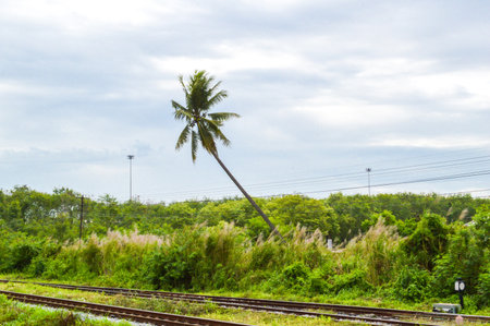 View lateral railwayの写真素材