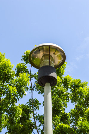 Lamp in garden