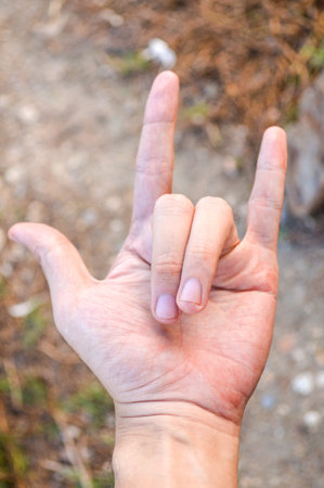 hand sign I Love You language gesture
