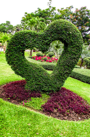 Grass heart shapeの写真素材