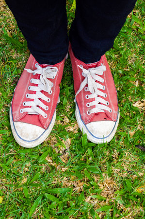 Two legs on the green grassの写真素材