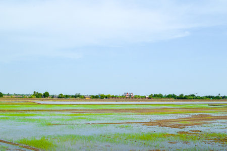 View lateral railway in thailand の写真素材