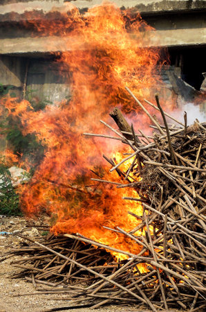 fire burn wood の写真素材