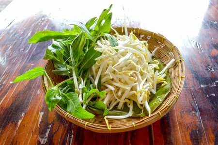 basil and sproutの写真素材