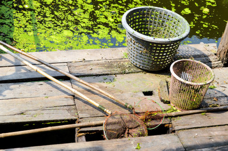  net for scoop duckweed の写真素材