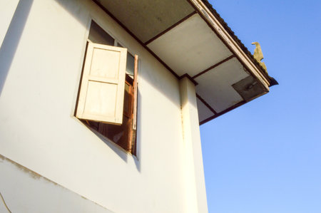 window wood, uprisen angle の写真素材