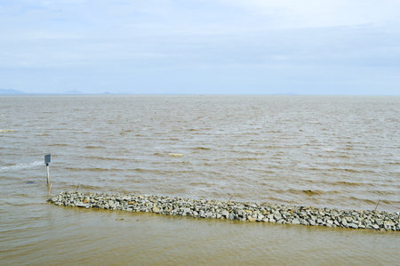 brown sea in Hongtong temple, Thailand 