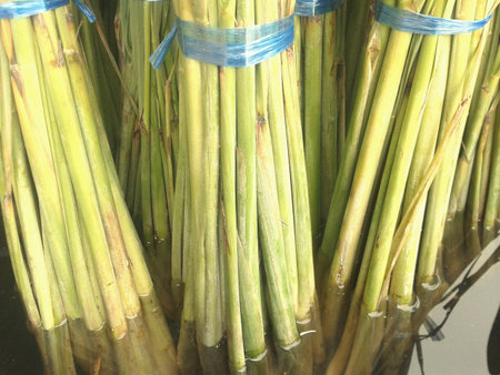 Lemon grass