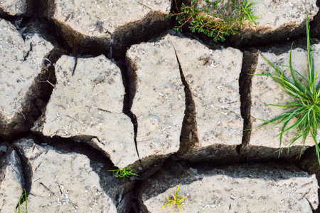 cracked soil の写真素材