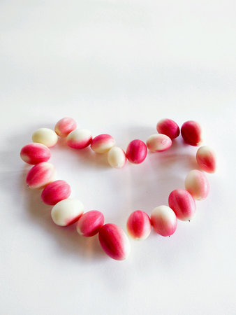 Heart