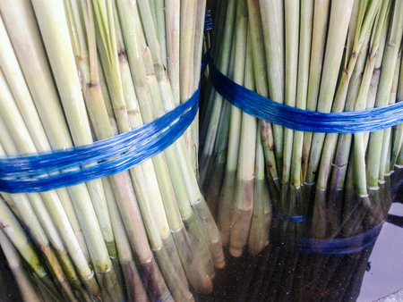 Lemon grass  