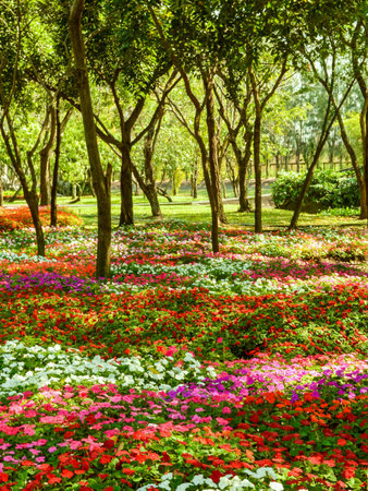 Flower garden in Thailandの素材