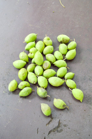 olive fruit on tableの写真素材