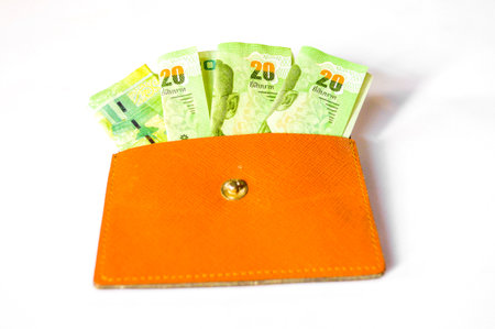 Money in my bag on white background