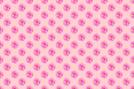 rose background