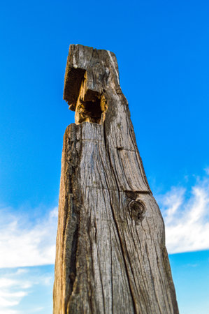 wood pole